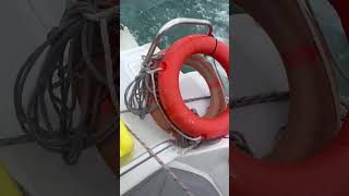 Girl Pushes Guy Off Boat Then Falls Herself