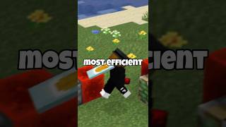 Why is kelp still the meta on the Donut SMP? #donutsmp #minecraft #gaming