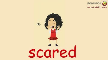 Grade 3   English  Special Education   Feelings   Module 1