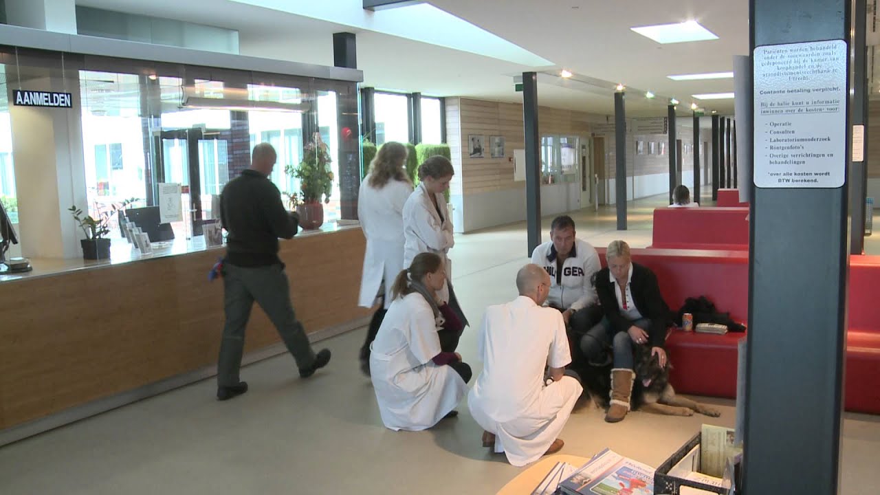 CampusCam - Dierentelepathie