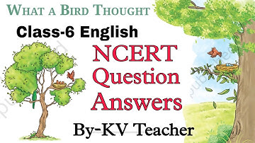 Question Answers ONLY/ What A Bird Thought/ Class-6 English NCERT Poorvi Unit-3 Chapter-2