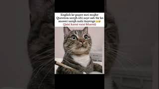 Jaisi karni waisi bharni....😼 #funny #cat #memes #boardexam #result #shorts #comedy