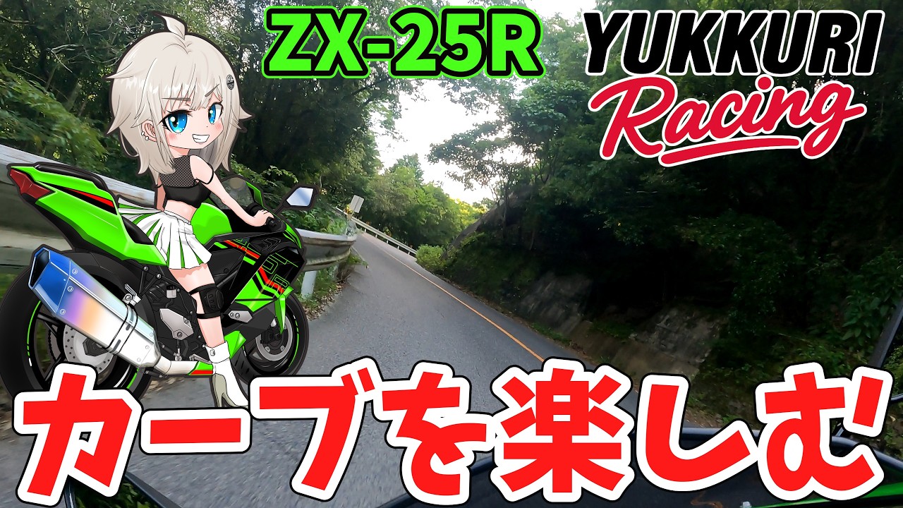 ZX-25R】カーブを楽しむ コーナーを攻める 走行動画 KAWASAKI ZX-25R