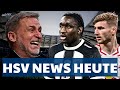 HSV NEWS! Kuntz denkt über neuen Stürmer nach – ist das wirklich sinnvoll?