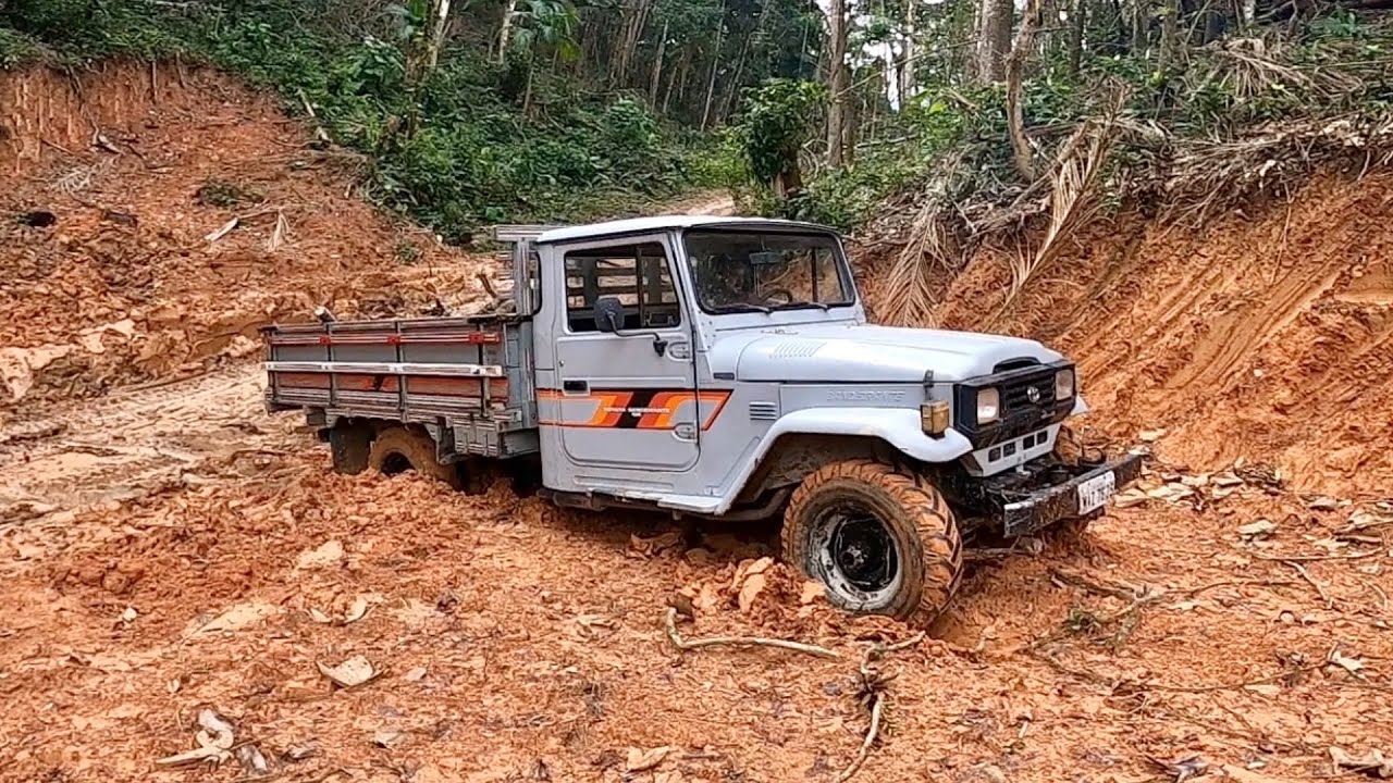 QUASE ATOLEI A TOYOTA BANDEIRANTE CARREGADA DE LENHA.