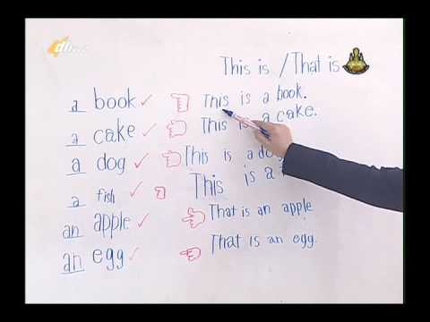 007C+2251157+อ+Word Fun การเปลี่ยนประโยคบอกเล่าเป็นประโยคปฏิเสธ+Engp2+Dl57T2  - Youtube