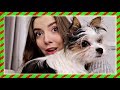 VLOGMAS 5 🐶 Mój Pies jest w CIĄŻY 🍼