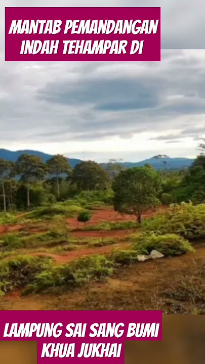 Indahnya pemandangan terhampar di tanah subur Lampung...