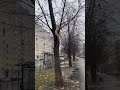 люди крысы #кот #котзастрял #юмор #прикол #веселыекоты #видосыоткота