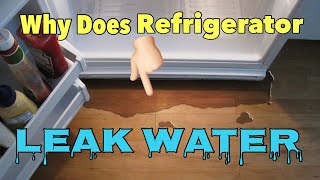 How to repair Samsung refrigerator & why does refrigerator leak water?