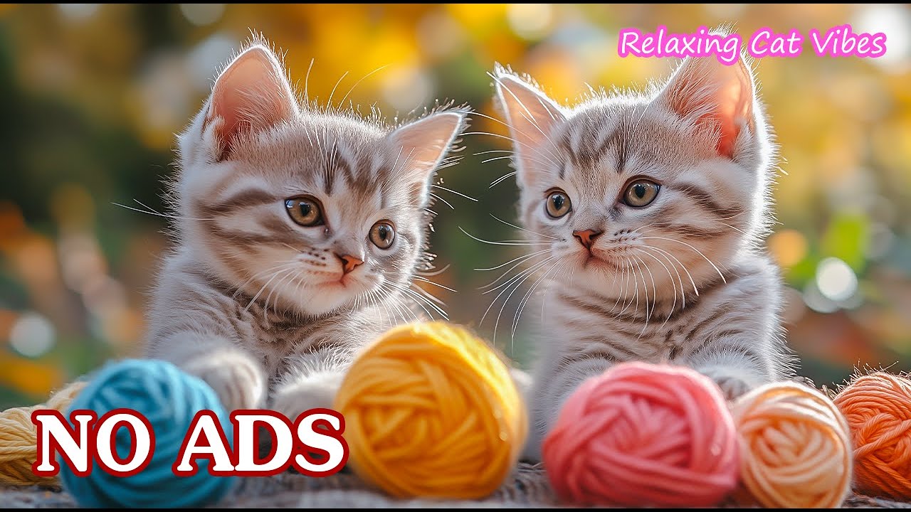 12 Hours Calming Music for Cats 🐱 Stress Relief Music to Soothe Cats🌿♫ No Ads
