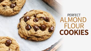 Almond Flour Cookies | glutenfree chocolate chip cookies!