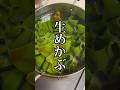 年に一度は食べたい!生めかぶの美味しい食べ方 #shorts #簡単レシピ