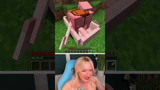 Minecraft Flugzeug