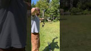 Why Shoot a Stationary Target When You Can Make It Move?