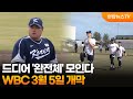 드디어 '완전체' 모인다…WBC 3월 5일 개막  / 연합뉴스TV (YonhapnewsTV)