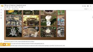 Musroom classifications ineuron internship.