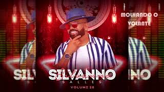 Molhando O Volante - Silvanno Salles Vol. 28