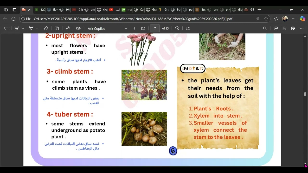 Yalla science Grade 5 ( C1 L 3 )