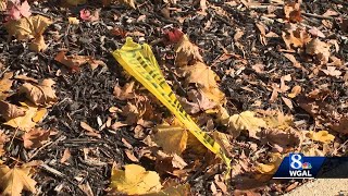 Juvenile wounded in Lancaster County shooting