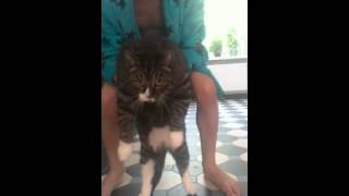 VID 20150711 105035