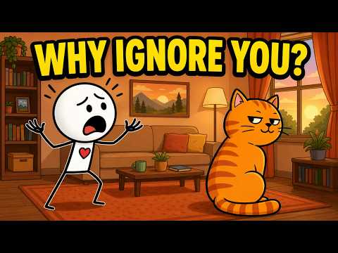 Why Do Cats Ignore You? The Science Behind Feline Indifference