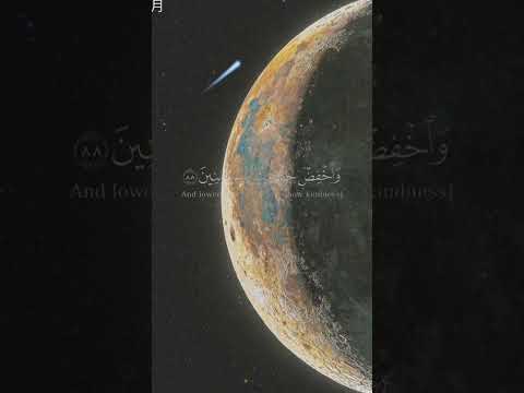 إن ربك هو الخلاق العليم بصوت هزاع البلوشي أرح سمعك وقلبك قران كريم