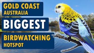 D Coasts Biggest Birdwatching Hotspot, Australia