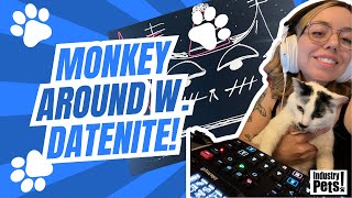 Download Lagu A DJ, a Flute & a Cat Named Monkey | Industry Pets Download Lagu A DJ, a Flute & a Cat Named Monkey | Industry Pets