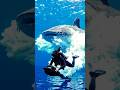 Swim with biggest sea creature 😵💫 #sea #ocen #creature #caught #ai #foryou