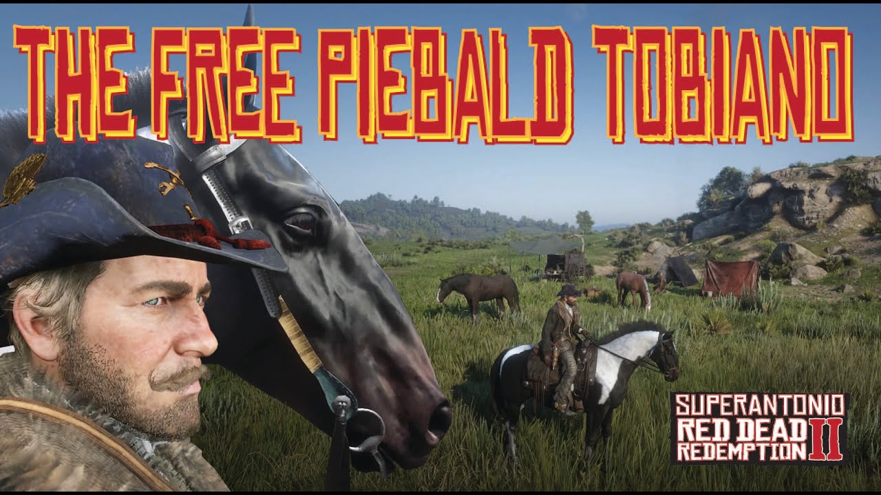 Revisiting The Piebald Tobiano Hungarian Halfbred at Arthur’s Favorite