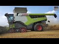 NEW 2020 Claas Lexion 8600 and Claas Lexion 750 with Fendt 1038 in 400 acre field in Michigan!