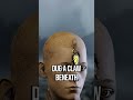 Ash's Past Will Destroy You #warframe #lore #shorts