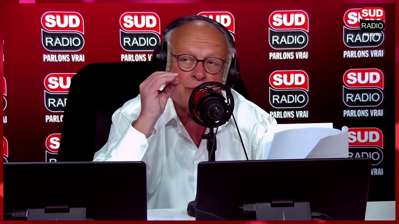 Chatons jetés d'un pont : "Ça s'appelle une saloperie !"