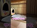 飼い主がいなくなると大騒ぎする犬にお留守番を頼むと? #shorts
