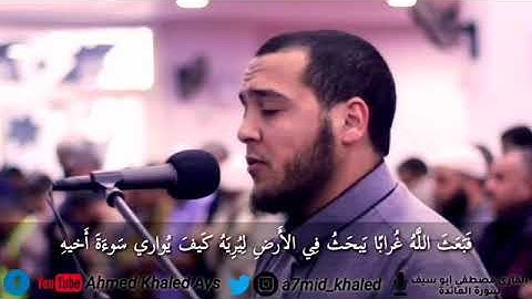 (فَطَوَّعَت لَهُ نَفسُهُ قَتلَ أَخيهِ فَقَتَلَهُ) || القارئ مصطفى أبوسيف