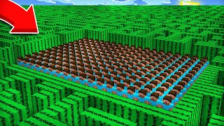 100 ПОДПИСЧИКОВ ПРОХОДЯТ ЛАБИРИНТ ИЗ КАКТУСОВ В МАЙНКРАФТ | Компот Minecraft