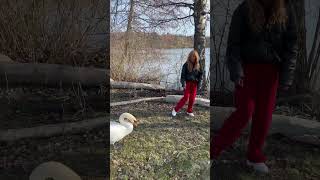 Vilket är ditt favorit djur? #foxymamantower #humor #komedi #shortvideo #parody #swan #shorts