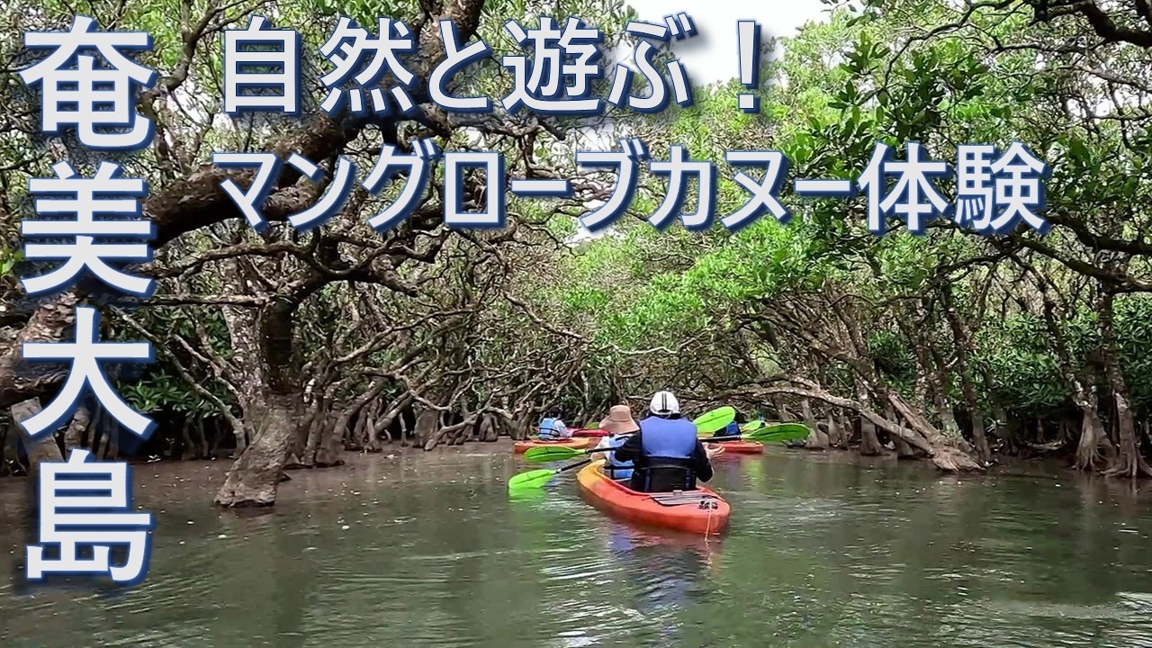 【奄美大島】マングローブカヌーで癒やされる休日🌿｜黒潮の森マングローブパーク