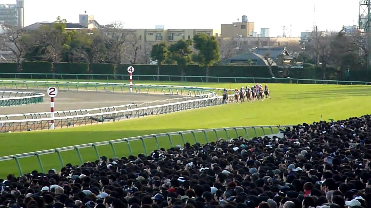 HD】ヴィクトワールピサ2cm差の勝利！（2010有馬記念） - YouTube