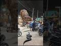 Big Anaconda vs dinosaur T-Rex fight scene#dinosaur#anaconda#jurassicworld#shorts#youtubeshorts