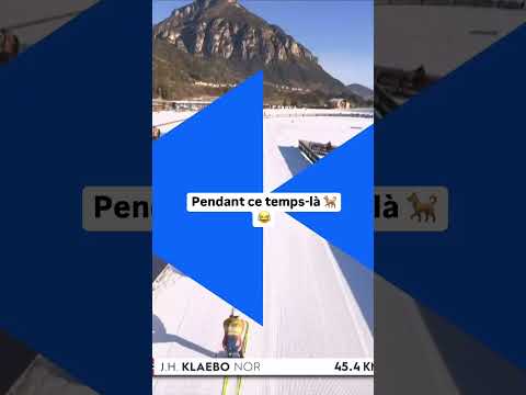 😂🐕 Le chien il était en pleine balade #ski #dog