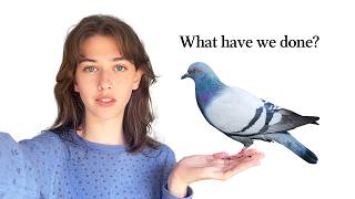 The Strange History of Pigeons