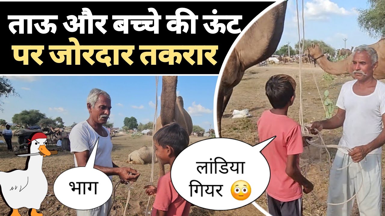 ताऊ और बच्चे की ऊंट पर जोरदार तकरार, मोल भाव देखकर मजा आ जाएगा 😳😂