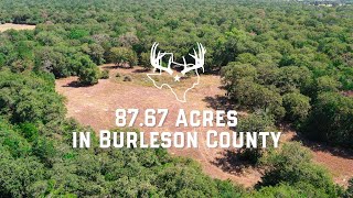 87.67 Acres in Burleson County