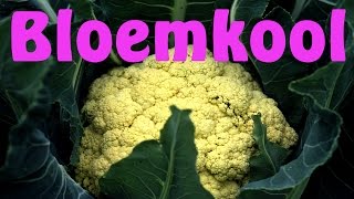 Bloemkool kweken