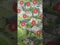 Creuse : des escrocs leur promettaient la vie de château ! ｜TF1 INFO