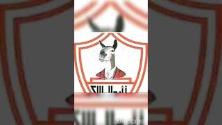 صور تريقة علي الزمالك 😂😂😂😂😂😂