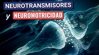 Neurotransmisores  y Neuromotricidad