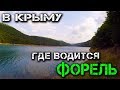 Балановское водохранилище. Отличные условия для отдыха и рыбалки. Крым